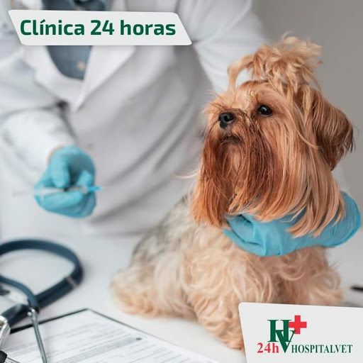 Hospital Vet, Rio Claro SP Vet Clínicas BR