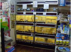 Atlantis Avicultura e Pet Shop, Diadema – SP