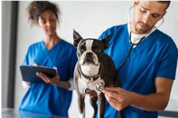 BEA Farma, Itapevi – SP