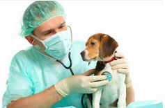 Dr. Gilmar Moreira, Carapicuíba - SP