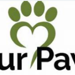 Four Paws Veterinary Clinic, São José do Rio Preto – SP