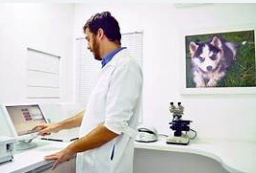 Pet Vet Veterinários, São José dos Campos – SP