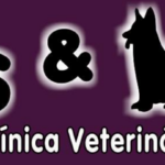Pets & Vets, São José do Rio Preto – SP
